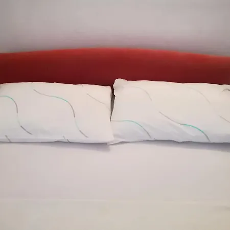 Marija Seget Vranjica